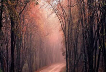 越野车都在套家用模板？福特智趣烈马能杀出来吗